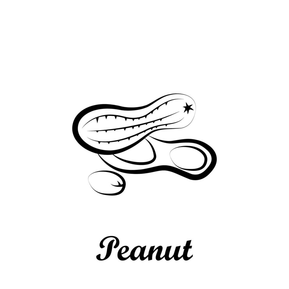 Crustaceans, fruit, peanut vector icon