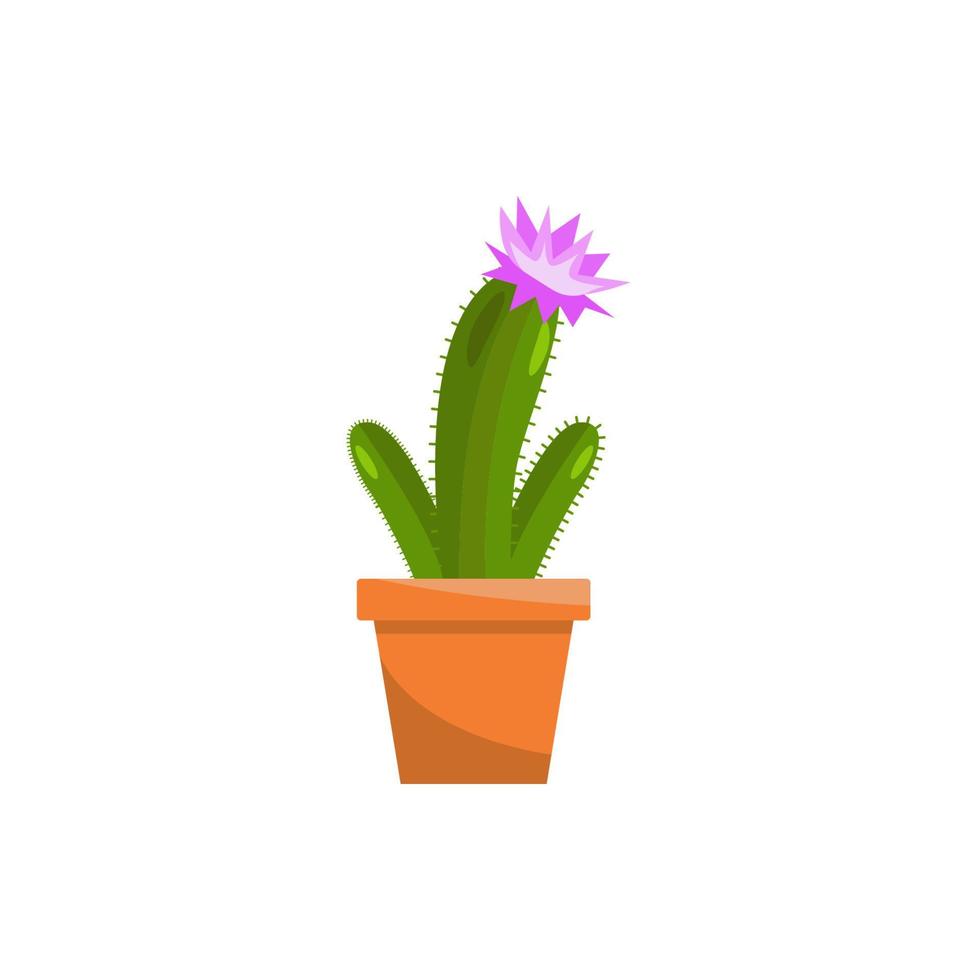 Spring colorful flowers in pots vector icon