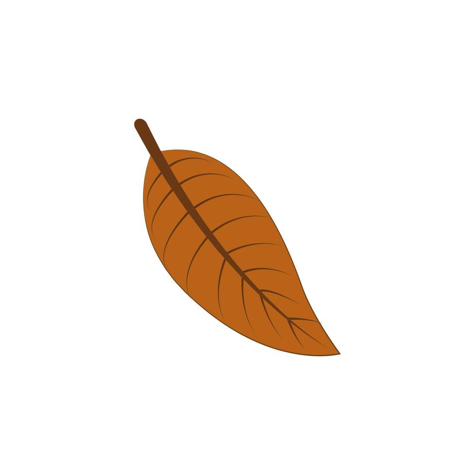 autumn brown color leaf vector icon