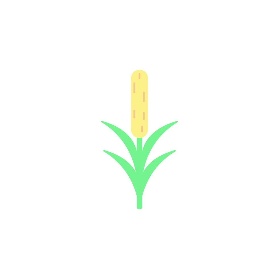 flower colored vector icon