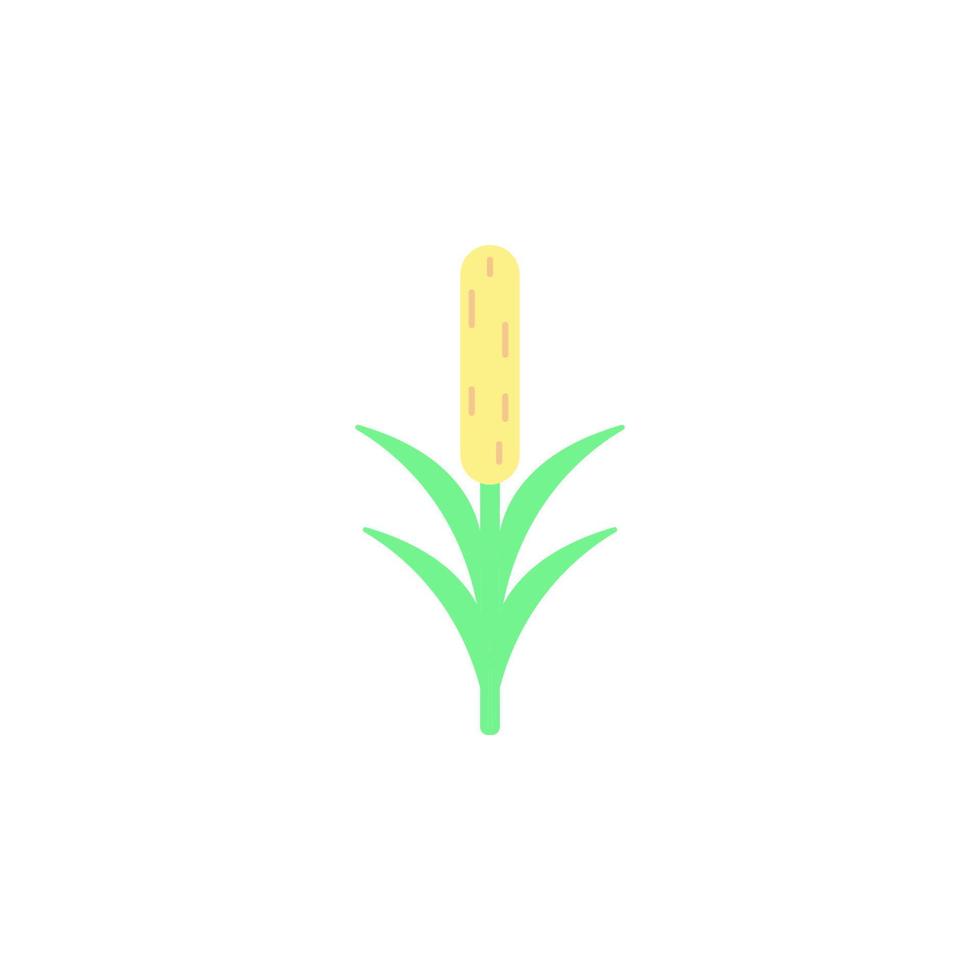 flower colored vector icon
