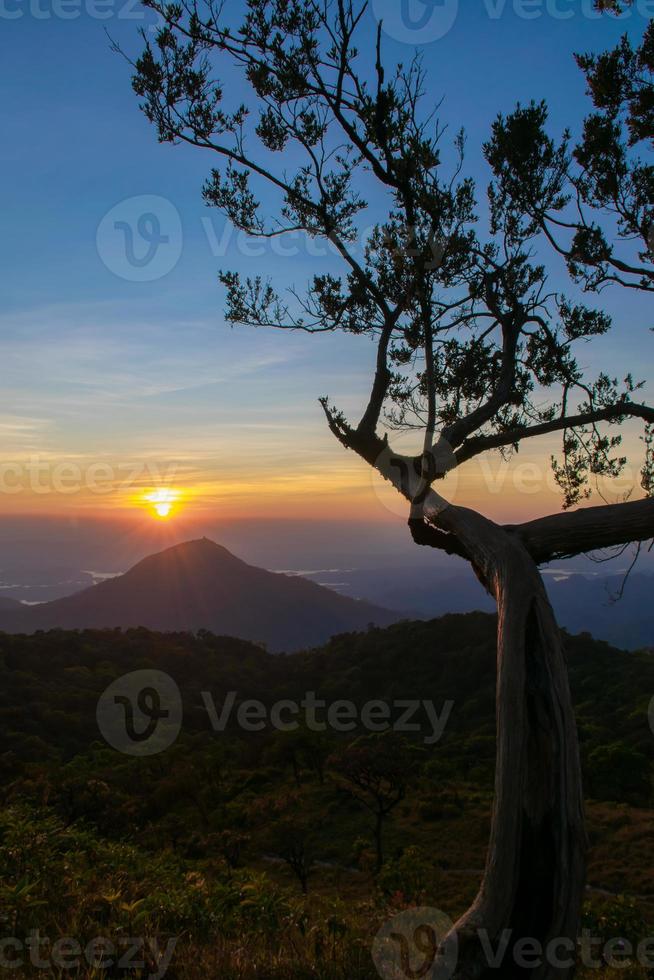 Majestic mountains landscape under morning sky with clouds,Alone tree on a hill slope. photo