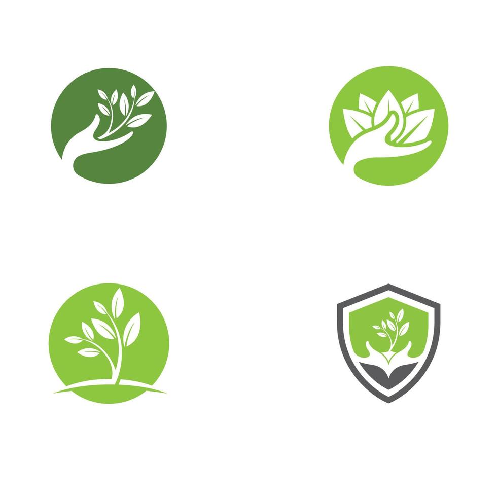 logotipos de la ecología de la hoja del árbol verde vector