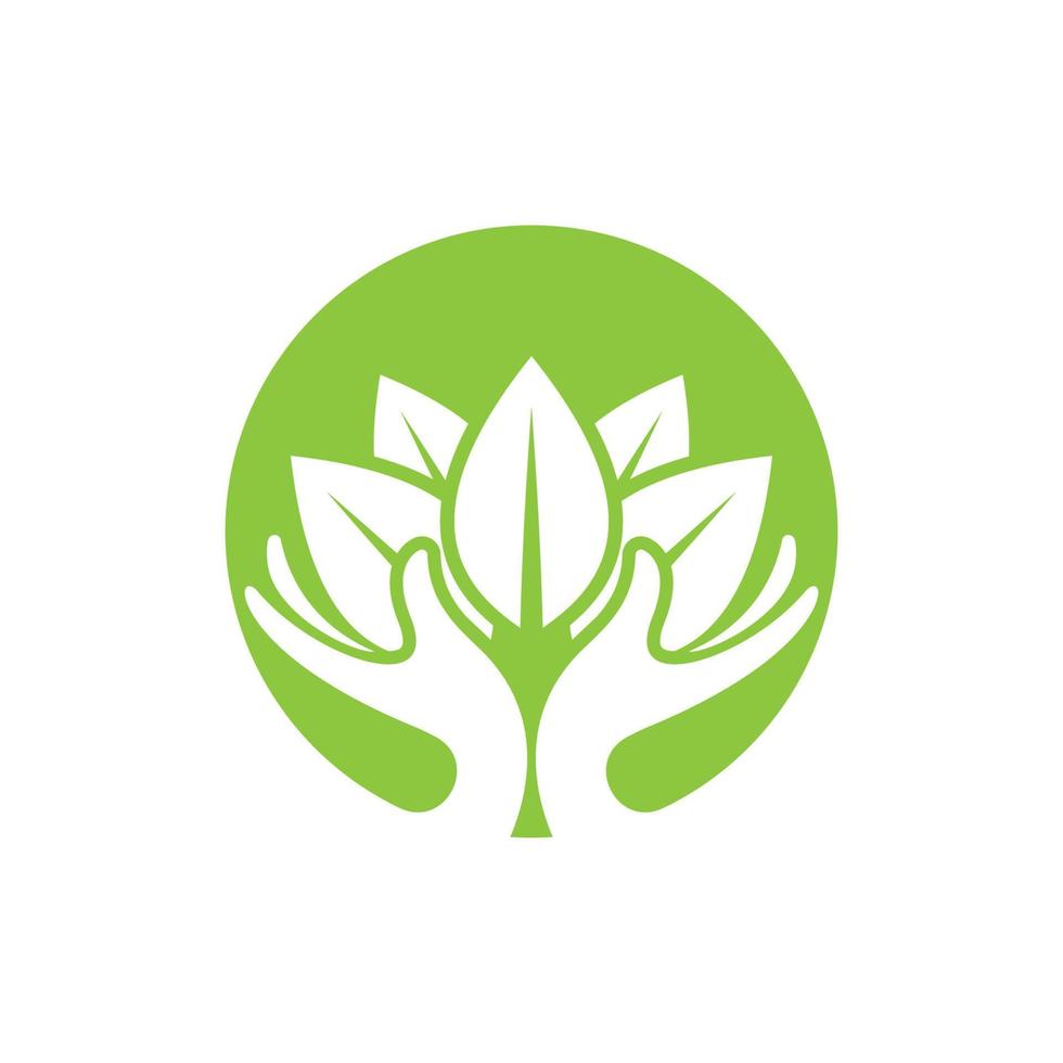 logotipos de la ecología de la hoja del árbol verde vector