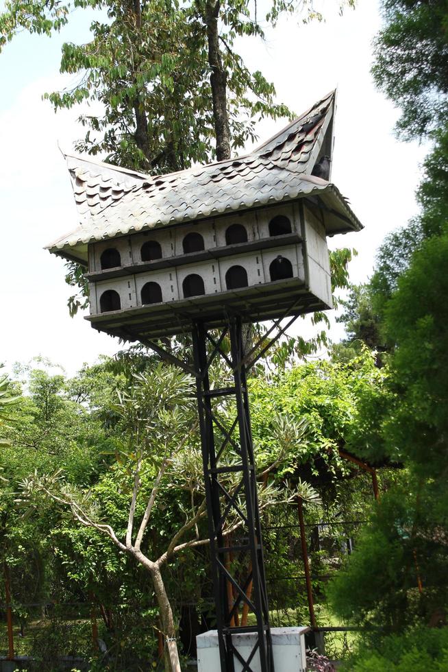 bogor Indonesia abril 2023 Paloma pájaro jaula con un tradicional casa modelo desde padang foto
