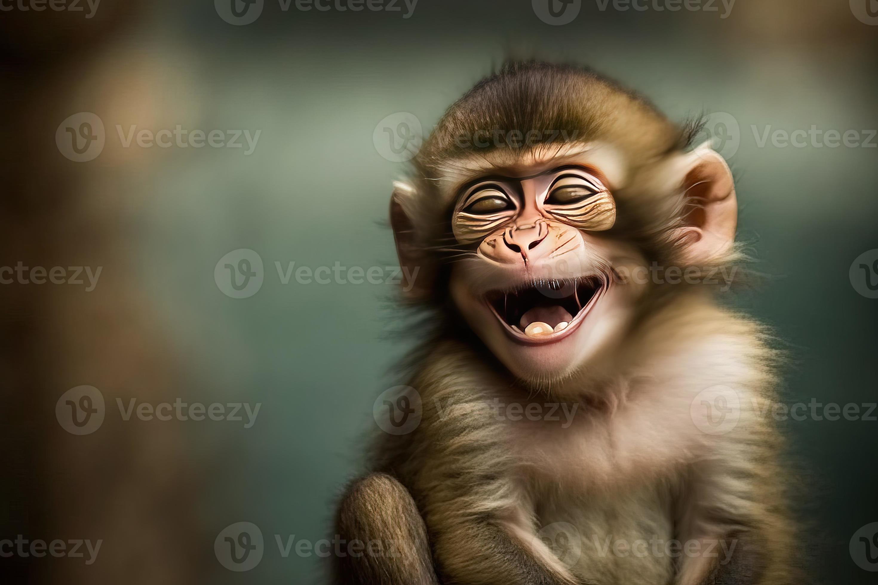 little monkey smile 22347007 Stock Photo at Vecteezy