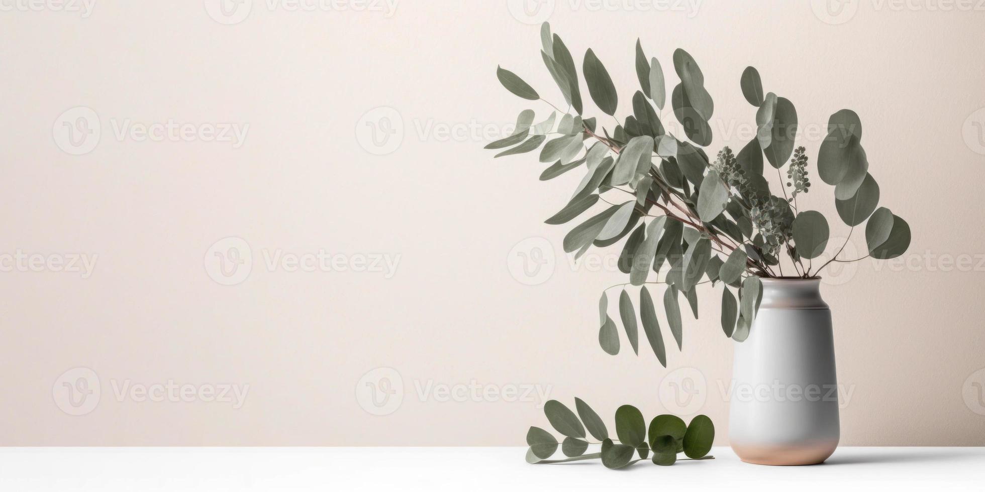 Beautiful eucalyptus flower in ceramic vase on table with white background. Copy space. photo