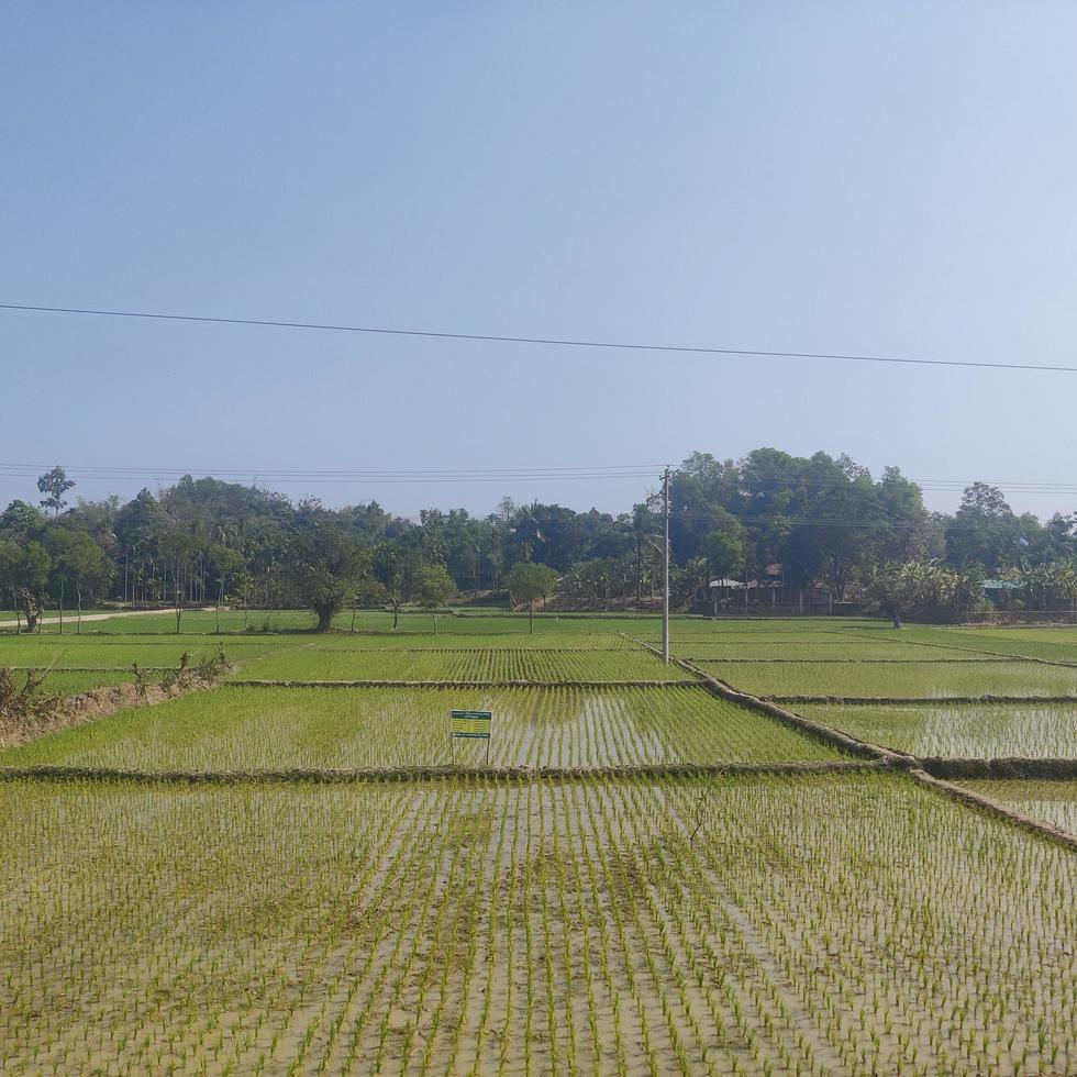 The natural beauty of Bangladesh cox bazar photo