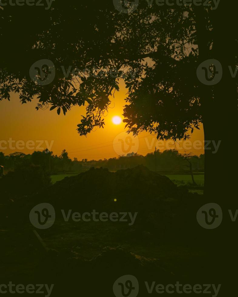 A sunset over a pond with trees and a power pole photo