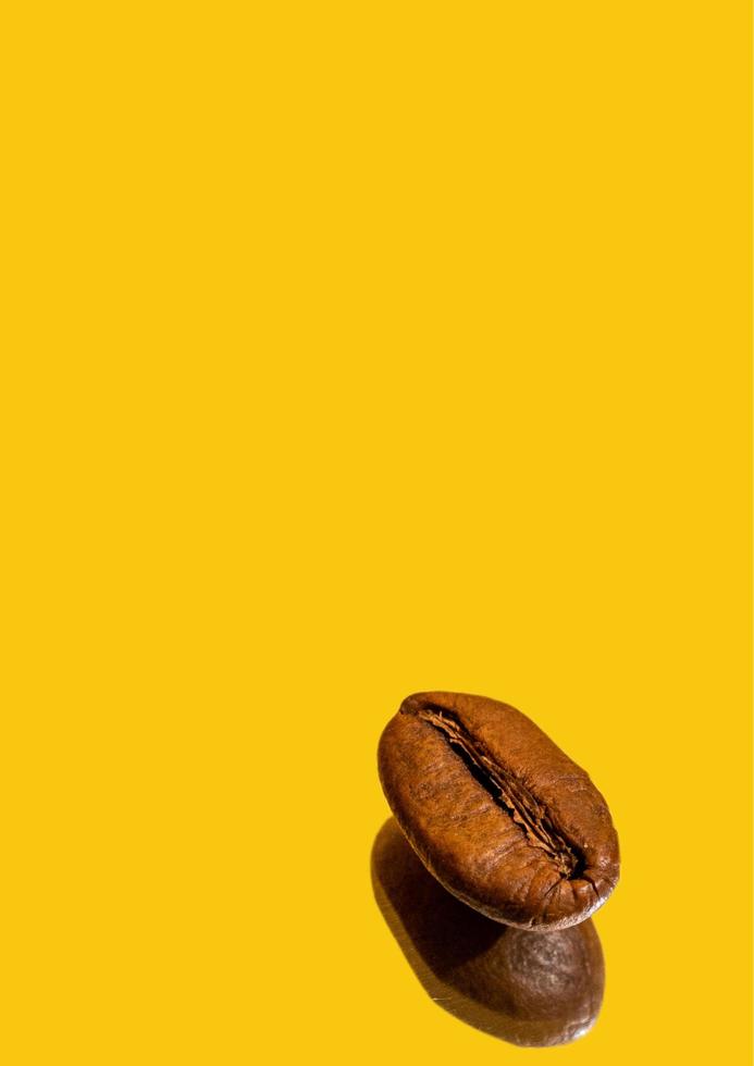 coffee bean with yellow background photo