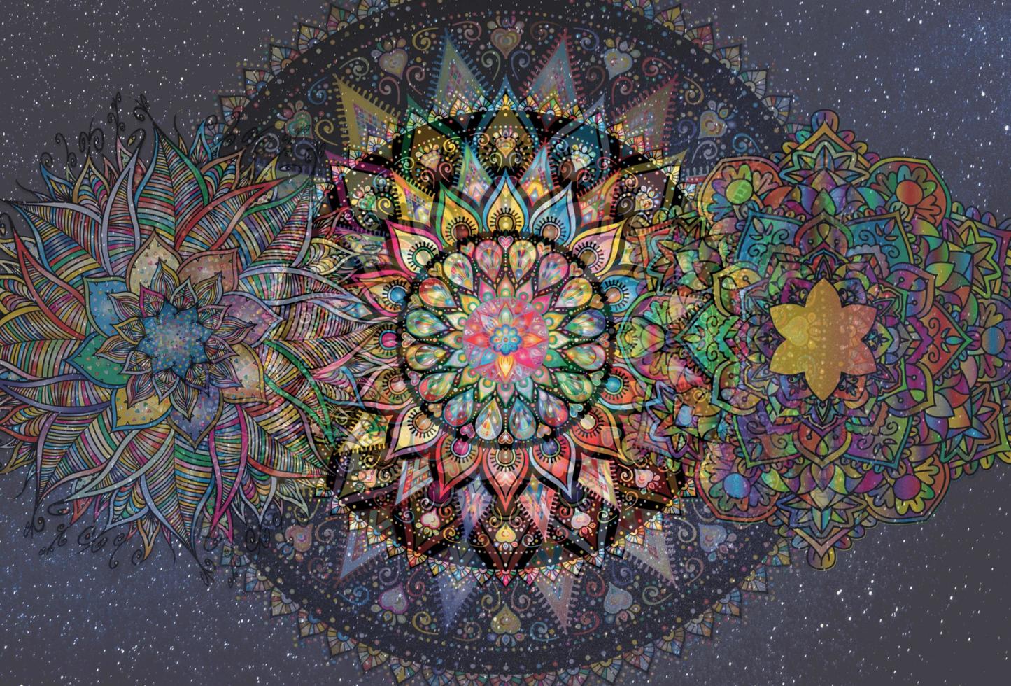 colourful mandala art photo