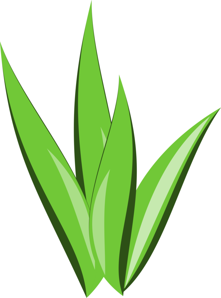 herbe clipart. herbe transparent Contexte png