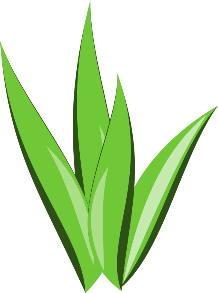 gras clip art. gras transparant achtergrond png