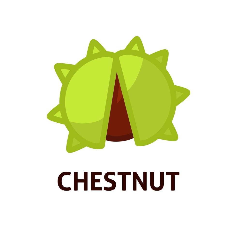 Edible chestnuts icon. Raw sweet nuts in green shell with spiny burrs and peeled kernel isolated. Vector cartoon illustration about healthy snack