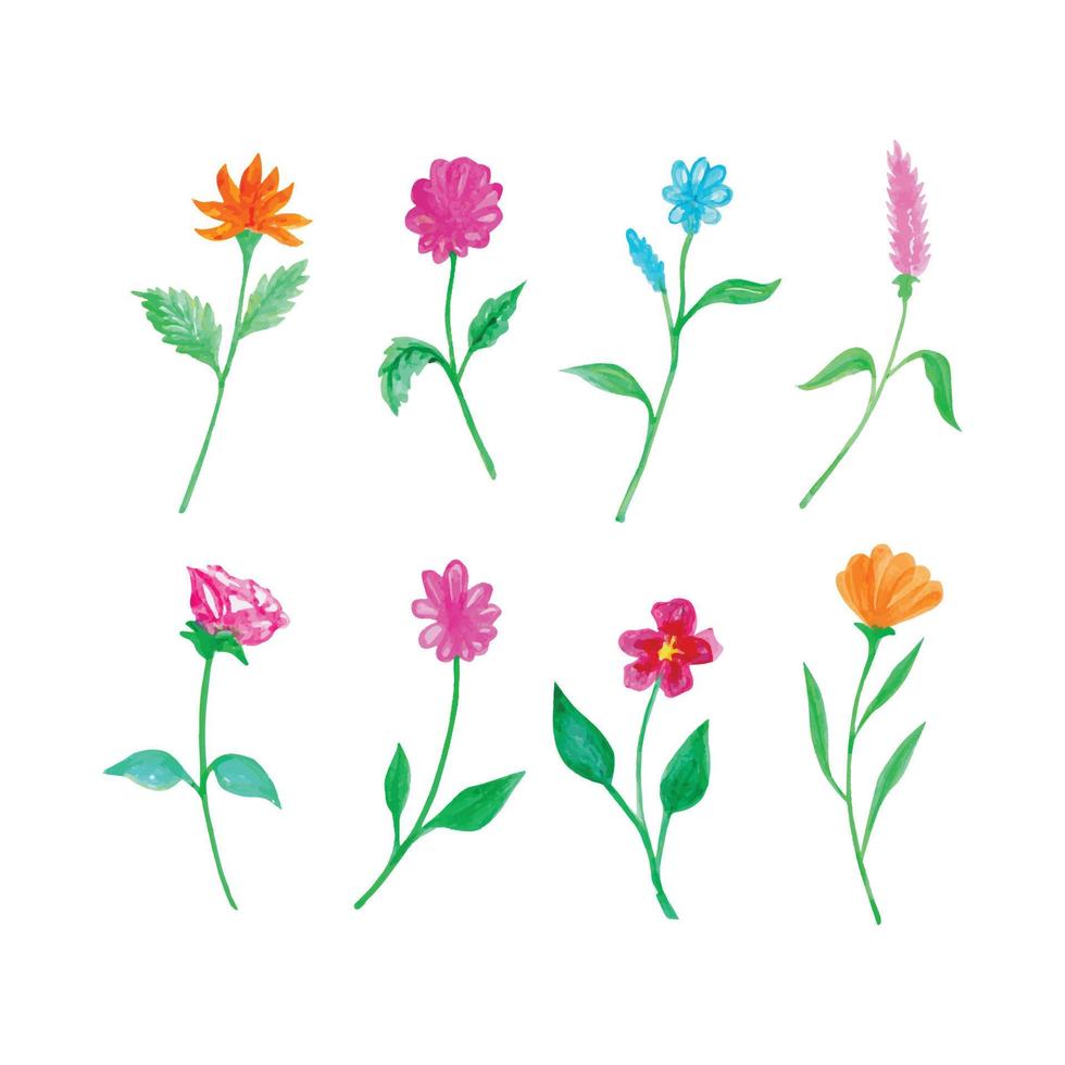 Set of beautiful watercolor flowers, hand drawn watercolor vector illustration for greeting card or invitation design