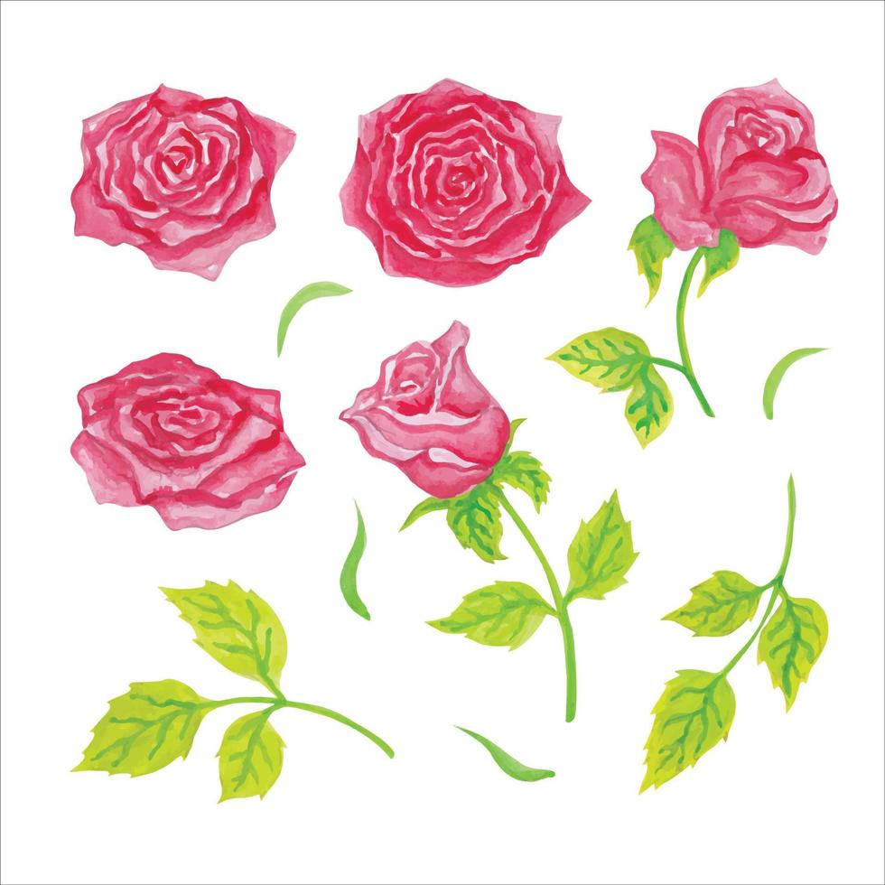 Selection of roses in red tones, hand drawn watercolor vector illustration for greeting card or invitation design