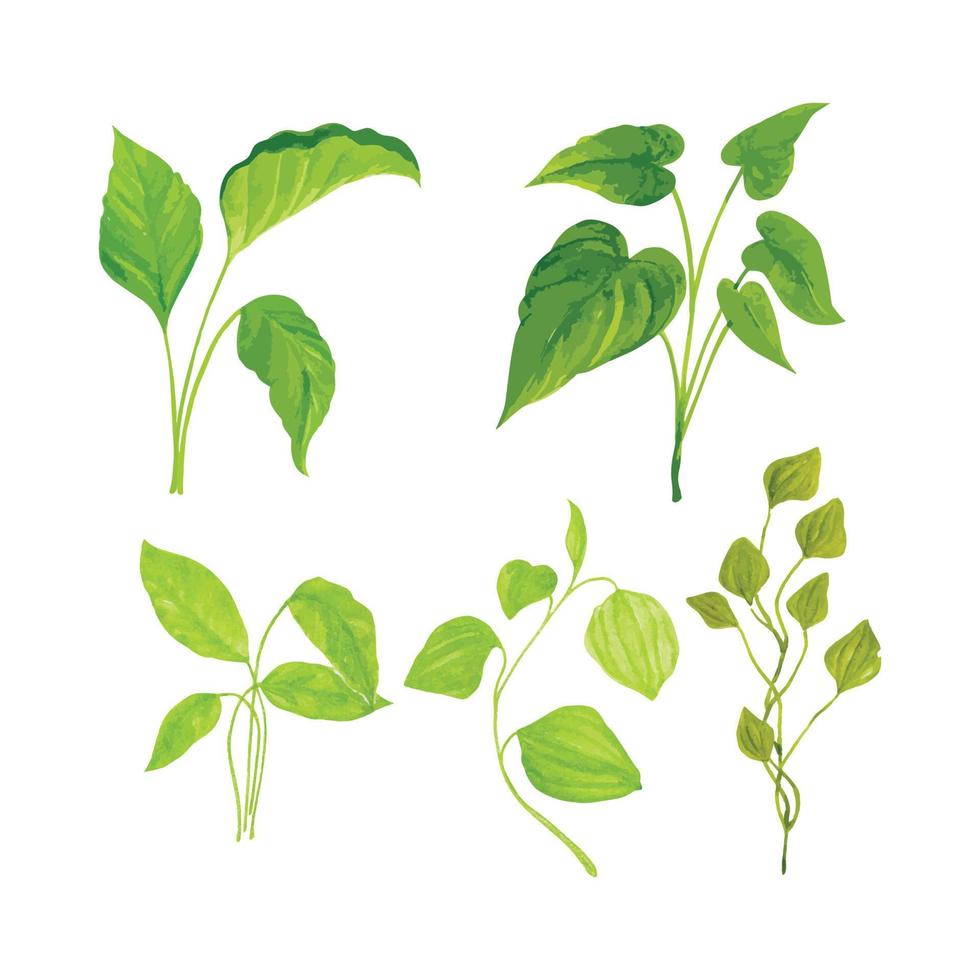 colección de tropical acuarela plantas, mano dibujado acuarela vector ilustración para saludo tarjeta o invitación diseño
