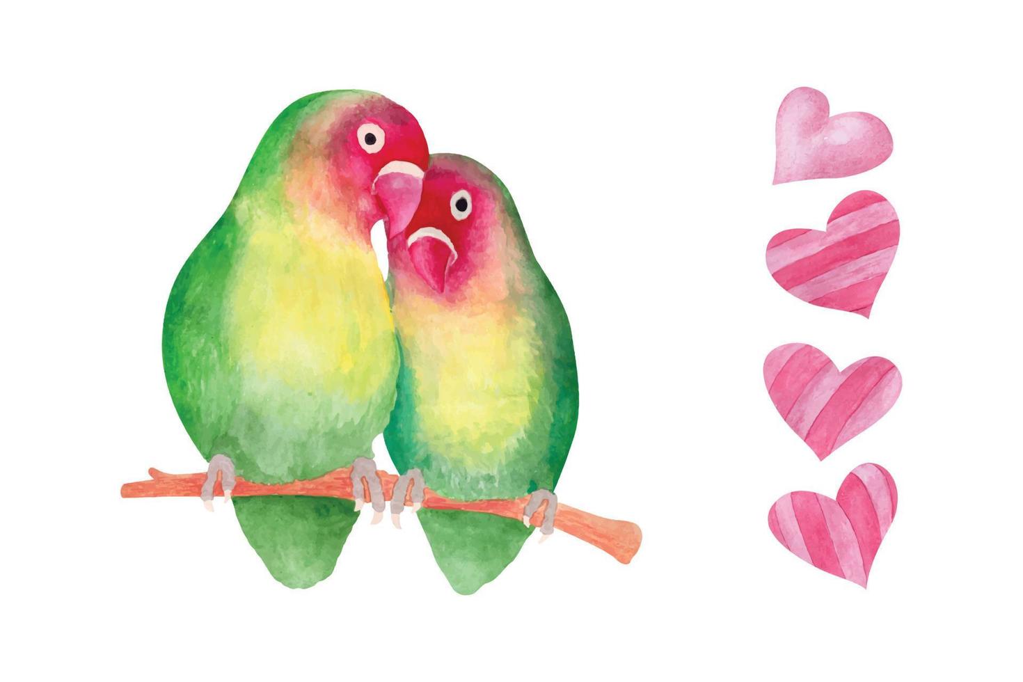 Watercolor valentines day love bird couple, hand drawn watercolor vector illustration for greeting card or invitation design