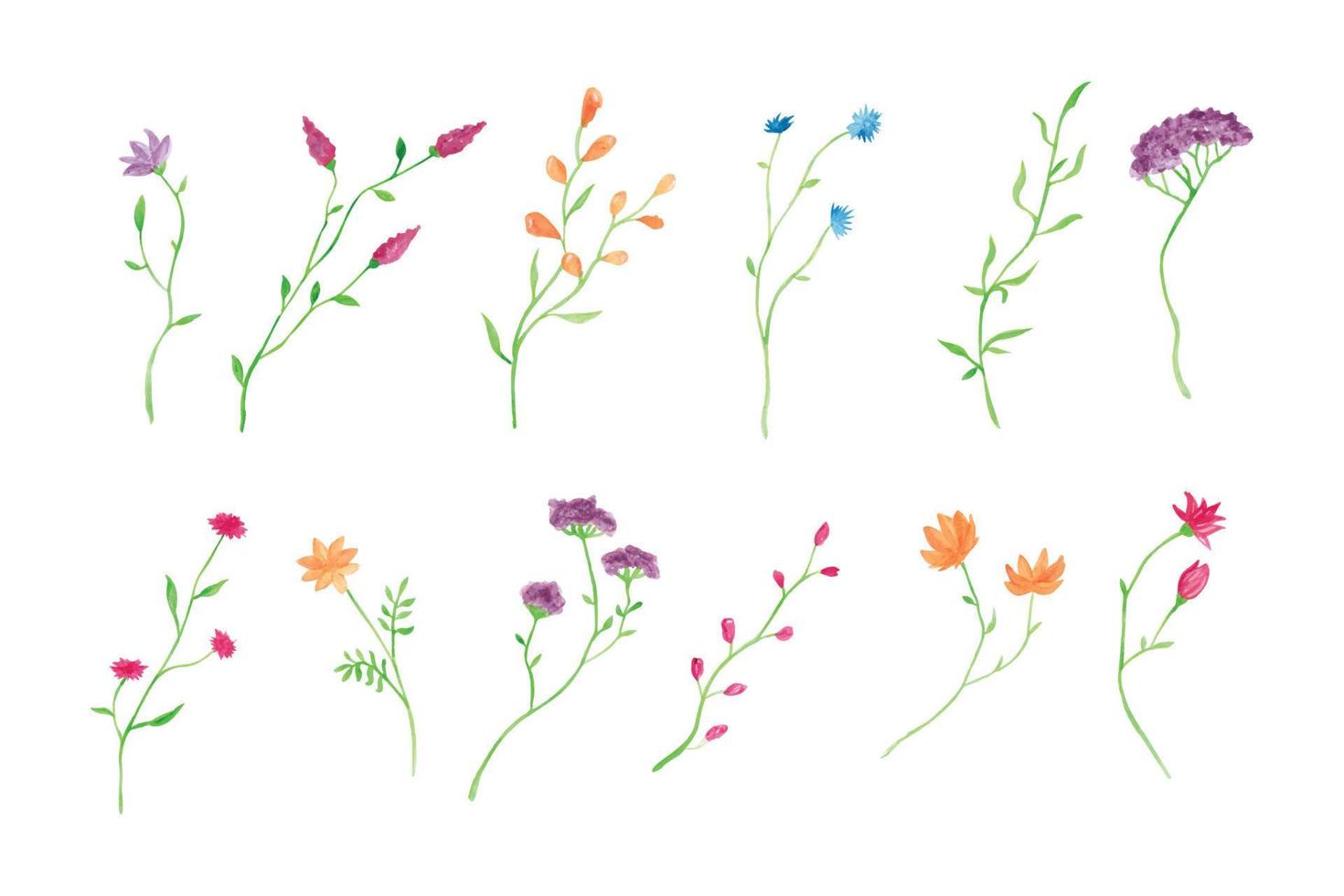 Watercolor botanical  floral branch collection, hand drawn watercolor vector illustration for greeting card or invitation design