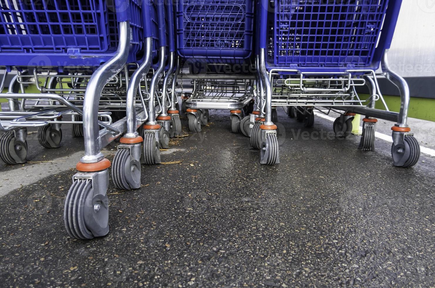 Parked supermarket carts photo
