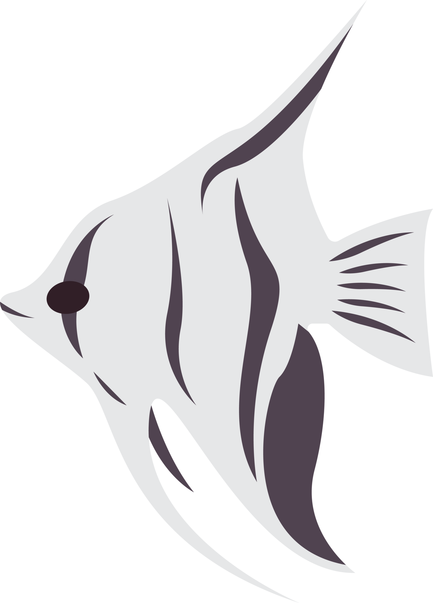 Exotic Ocean Fish Simple Flat Clip Art 22351843 PNG