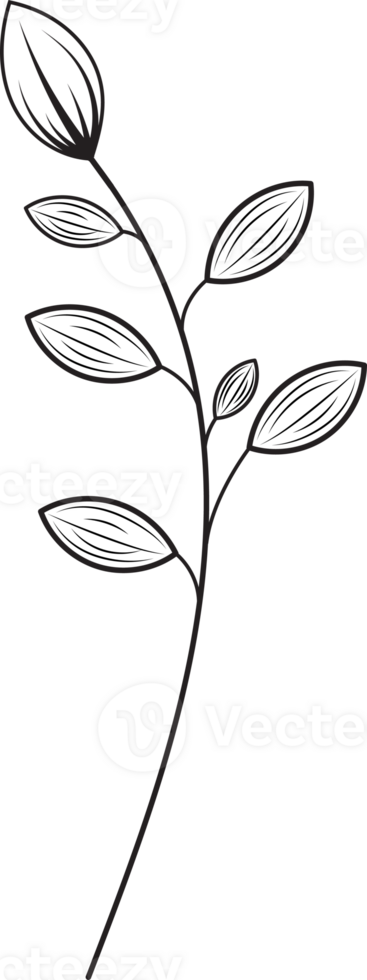 Hand drawn curly grass and flowers png