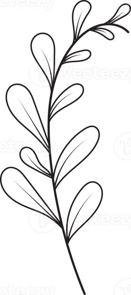 Hand drawn curly grass and flowers png