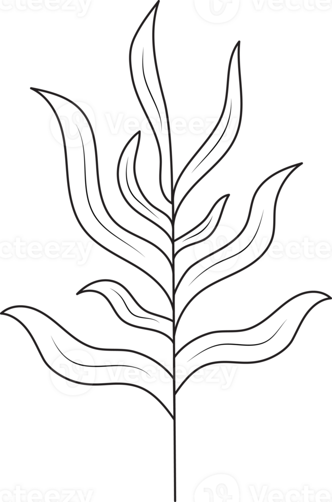 Hand drawn curly grass and flowers. png