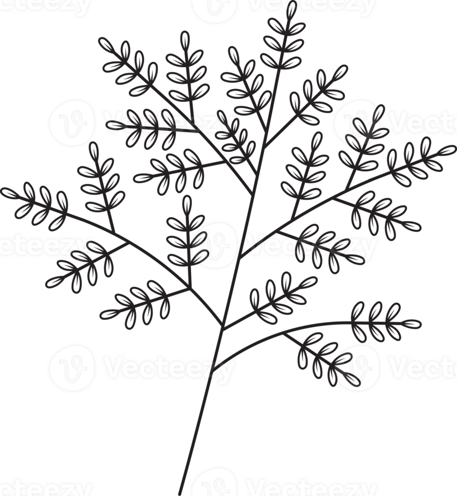 Hand drawn curly grass and flowers. png
