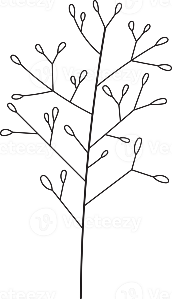 Hand drawn curly grass and flowers. png