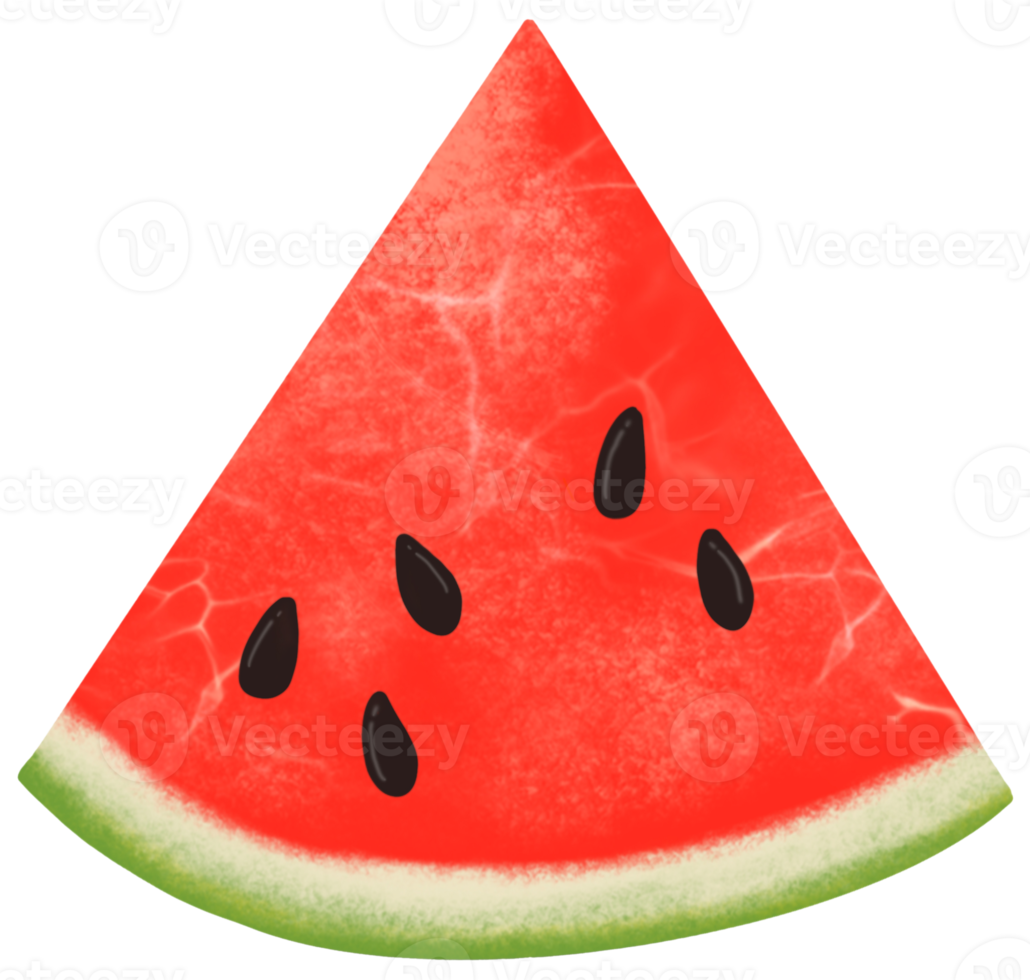 vattenmelon teckning isolerat png