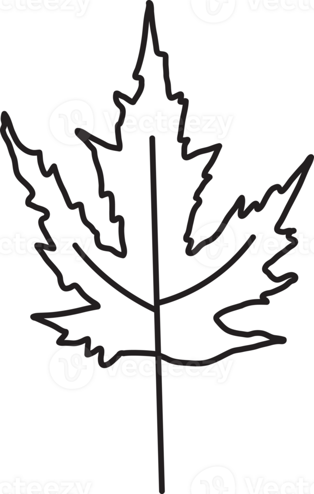 Leaf drawing isolated png