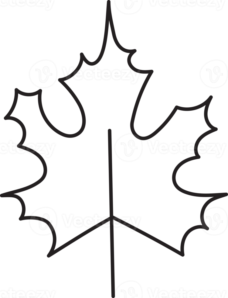 blad teckning isolerat png