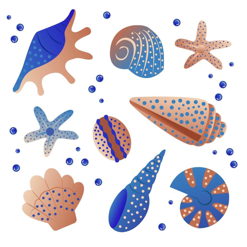 Colorful tropical shells underwater icon set frame of sea shells, vector illustration. Summer concept with shells and sea stars. Round composition, starfish, nature aquatic. Vector illustration.