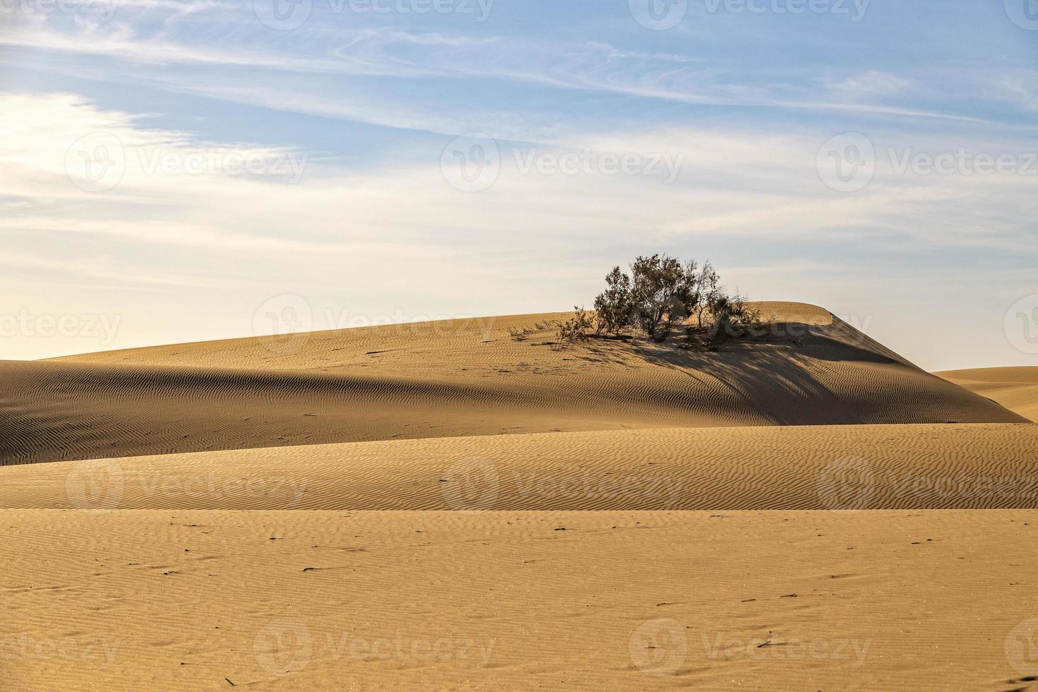 summer desert landscape on a warm sunny day from Maspalomas dunes on the Spanish island of Gran Canaria photo
