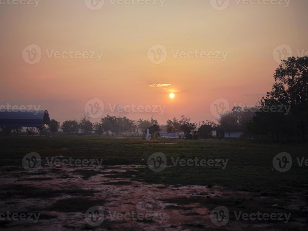 tree on meadow at sunset with sun  background . photo