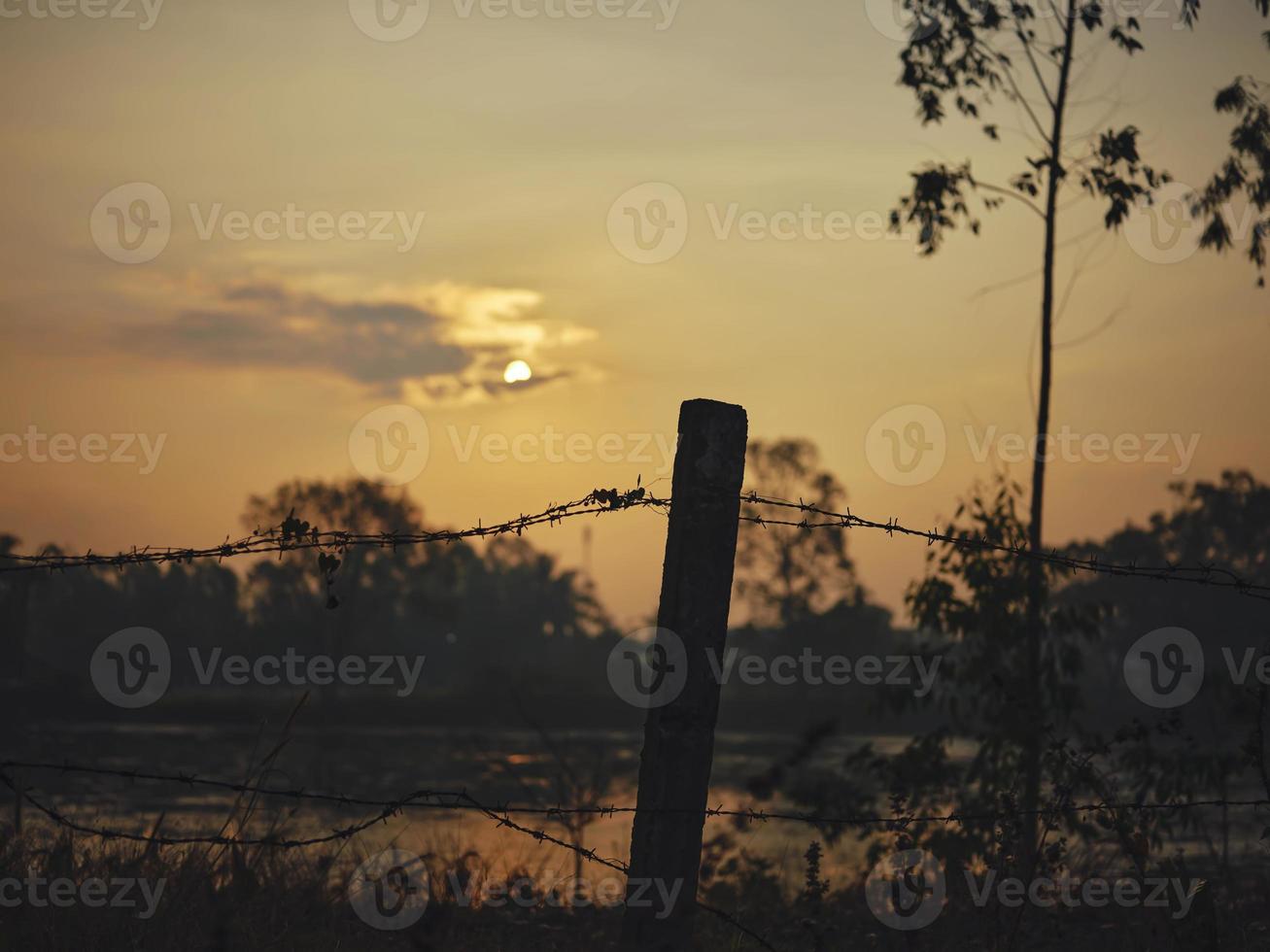 The Golden light.Golden sky in THAILAND countryside background . photo