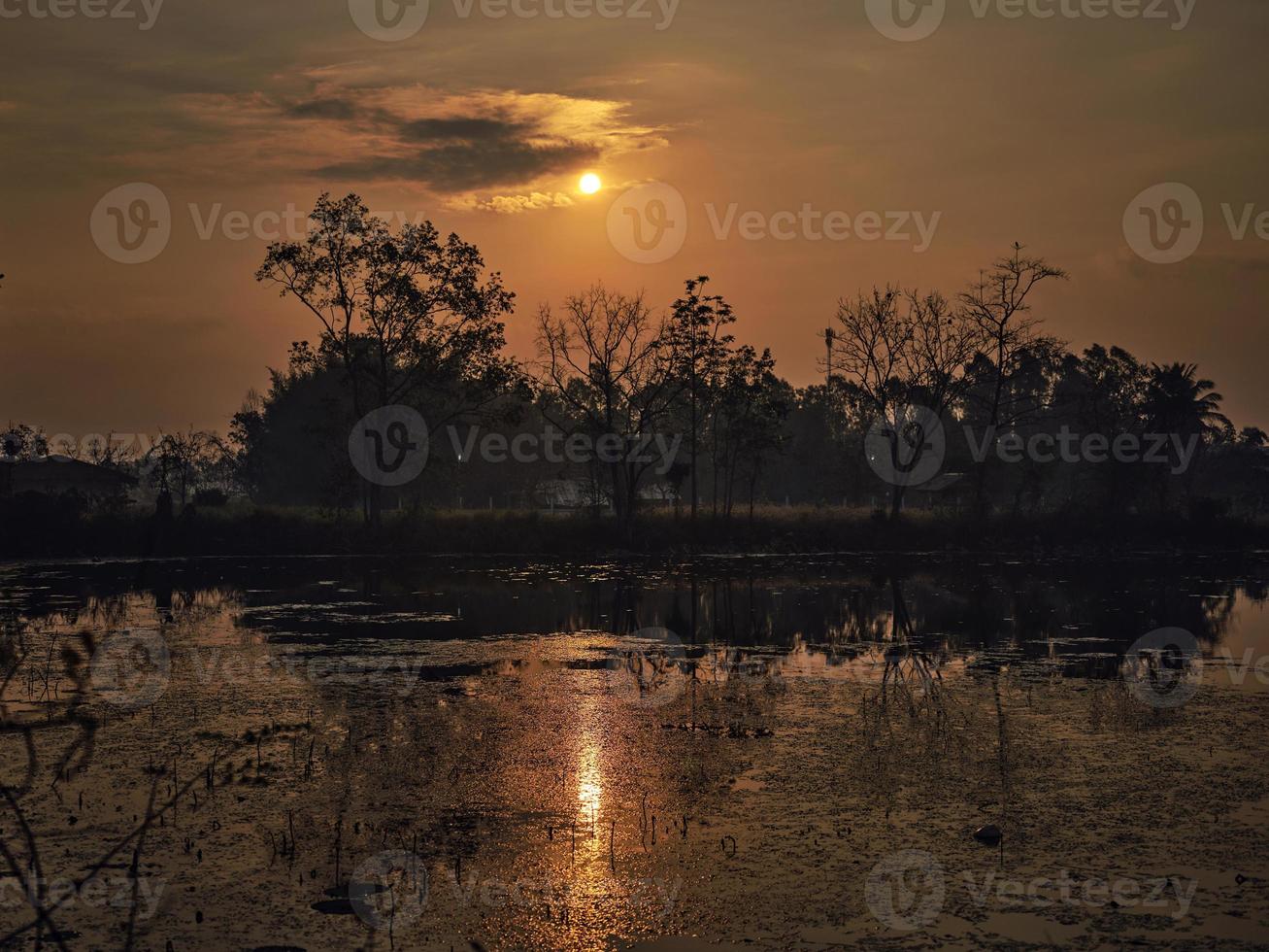 The Golden light.Golden sky in THAILAND countryside background . photo