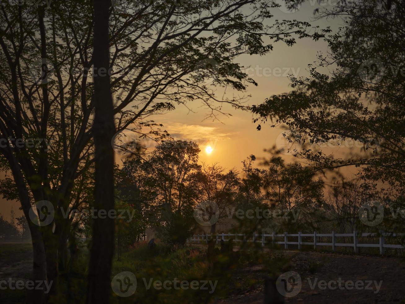 The Golden light.Golden sky in THAILAND countryside background . photo