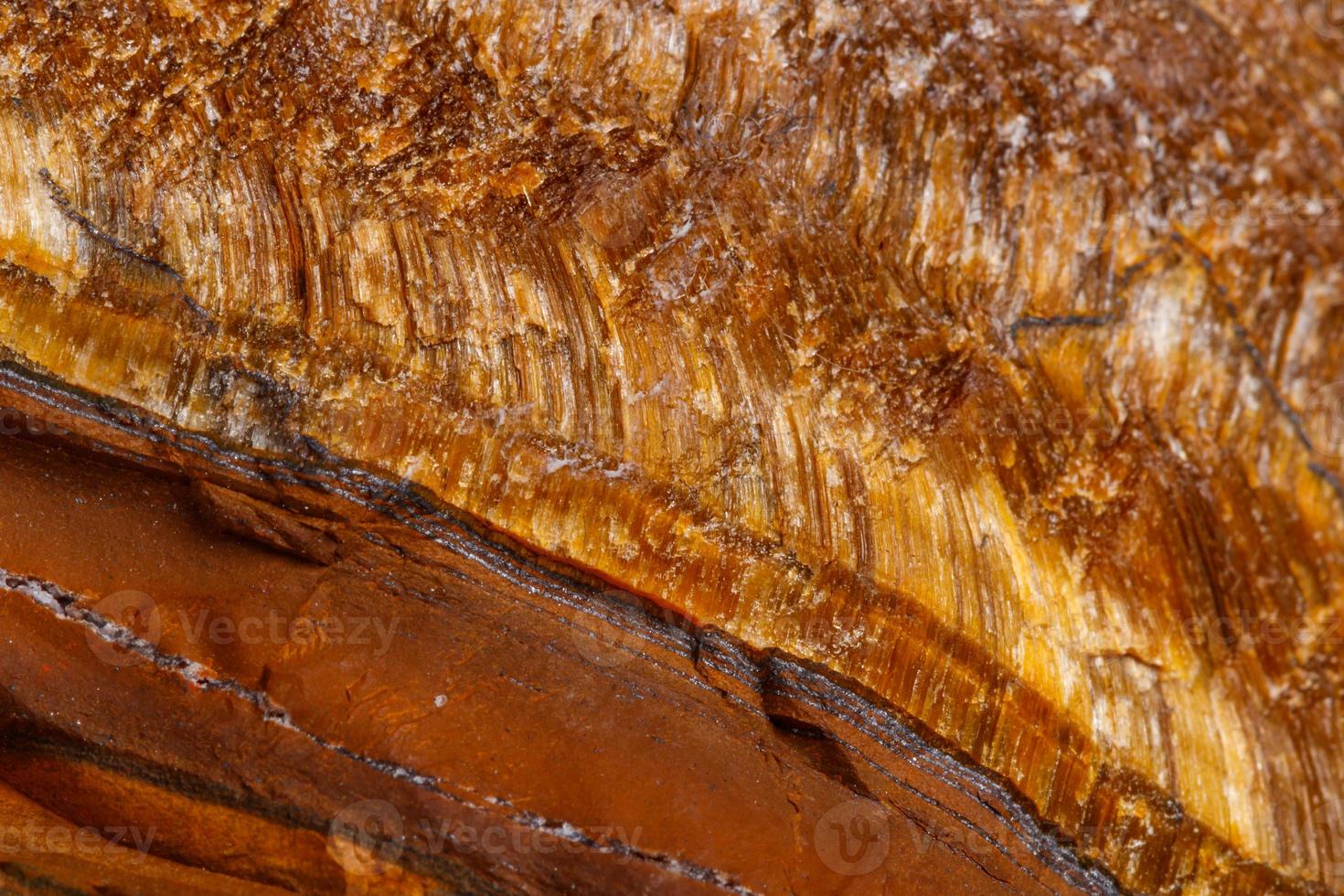 Macro mineral stone Tiger's eye in the breed on a white background photo