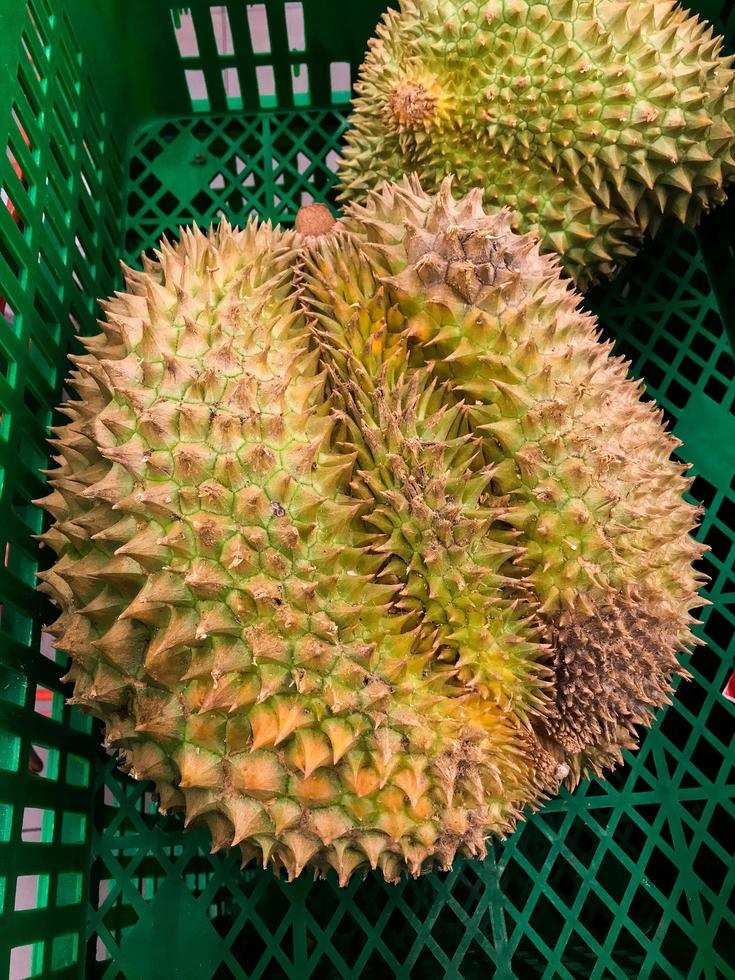 Close up view of Durian edible rich flesh fruit, photo