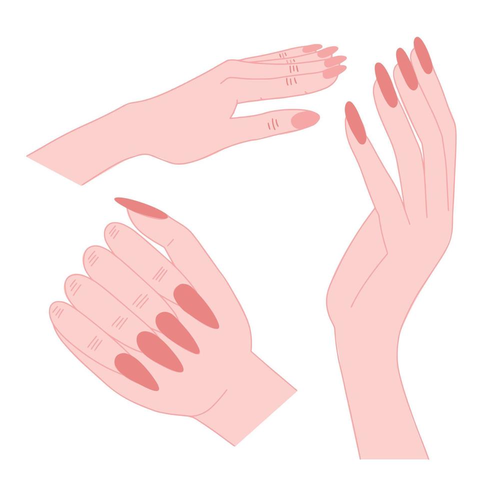 mujer manos con desnudo manicura colocar. diferente tipos de mujer manos con beige manicura vector plano conjunto