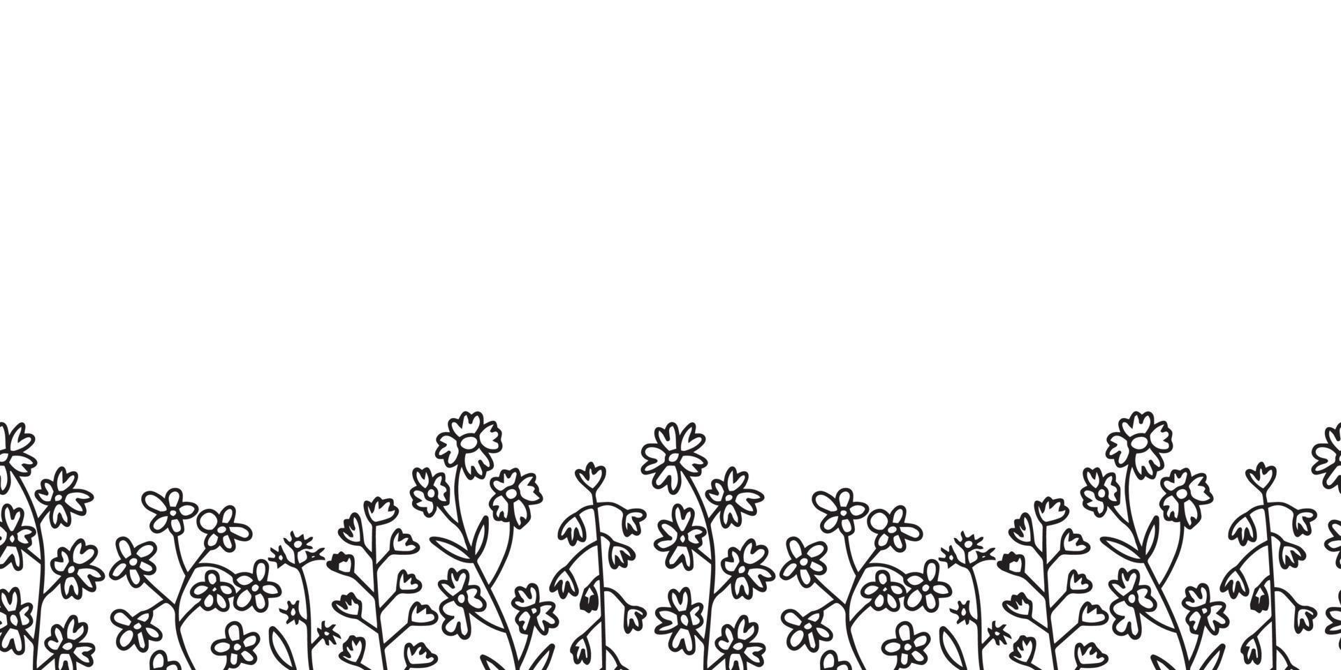 Vector wild flowers seamless border. Hand drawn summer chamomille border.