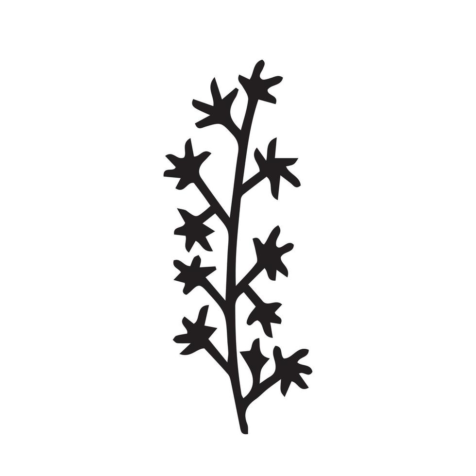 Vector winter plant with berries sketch