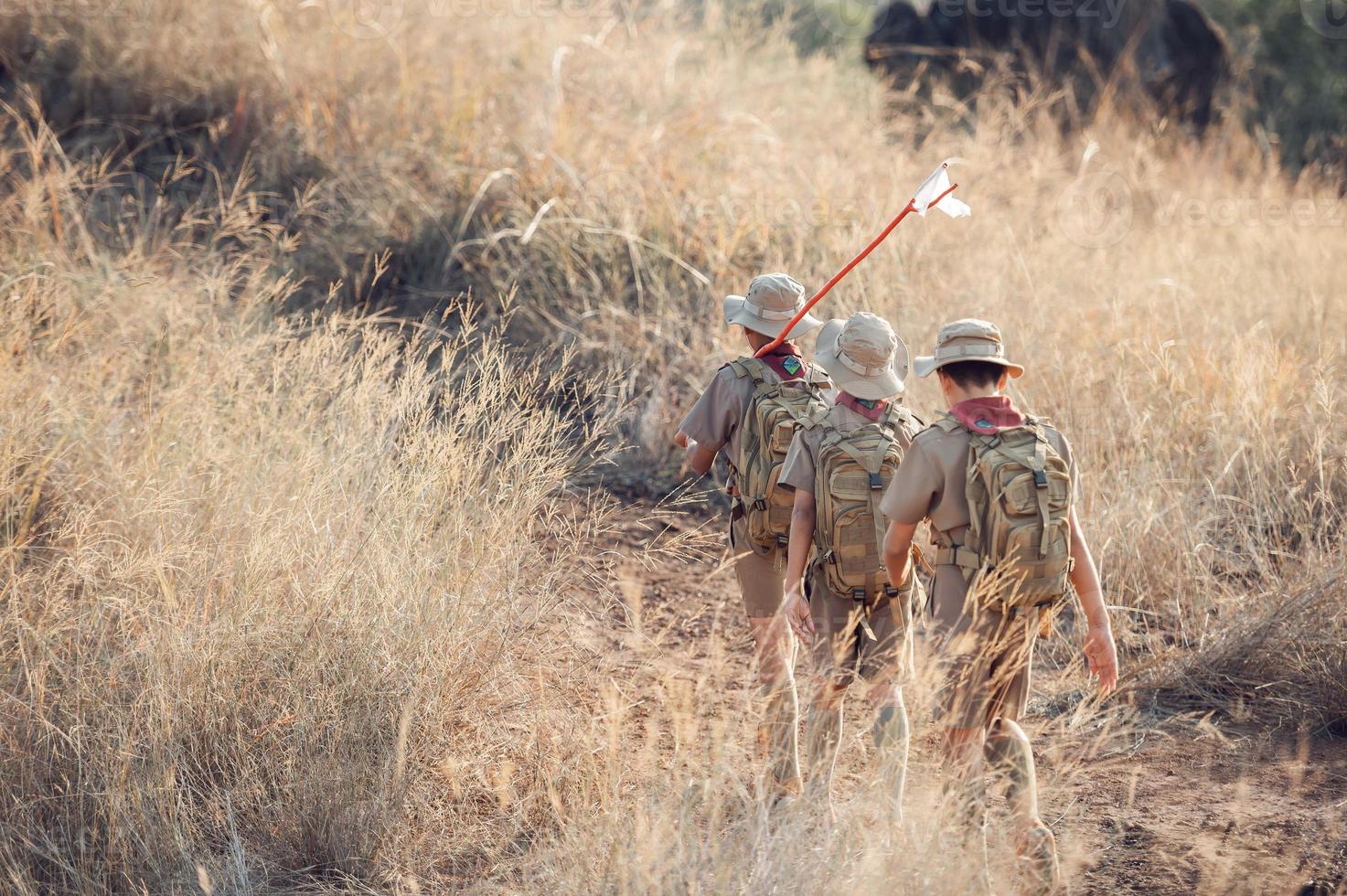 a Scout Reserve Team at Jungle Camp, Boy Scout America photo