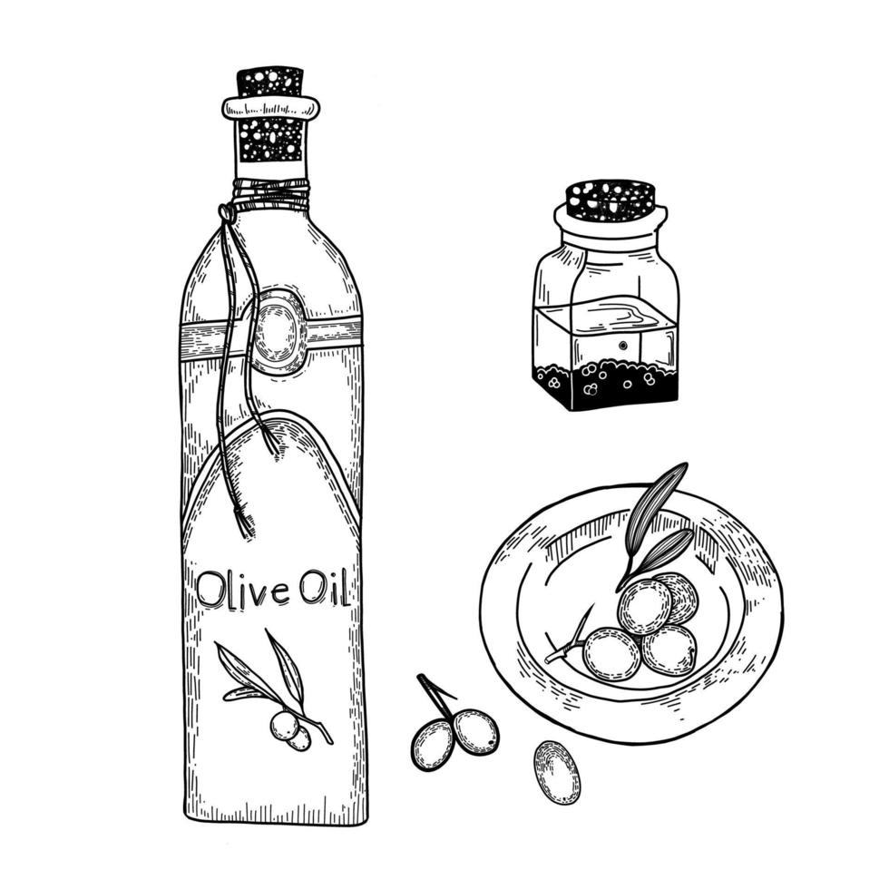 A set of drawings drawn in a vector on a white background. A bottle of olive oil, a plate of fresh olives and a small jar of fragrant oil with spices. Suitable for menu design, kitchen decoration