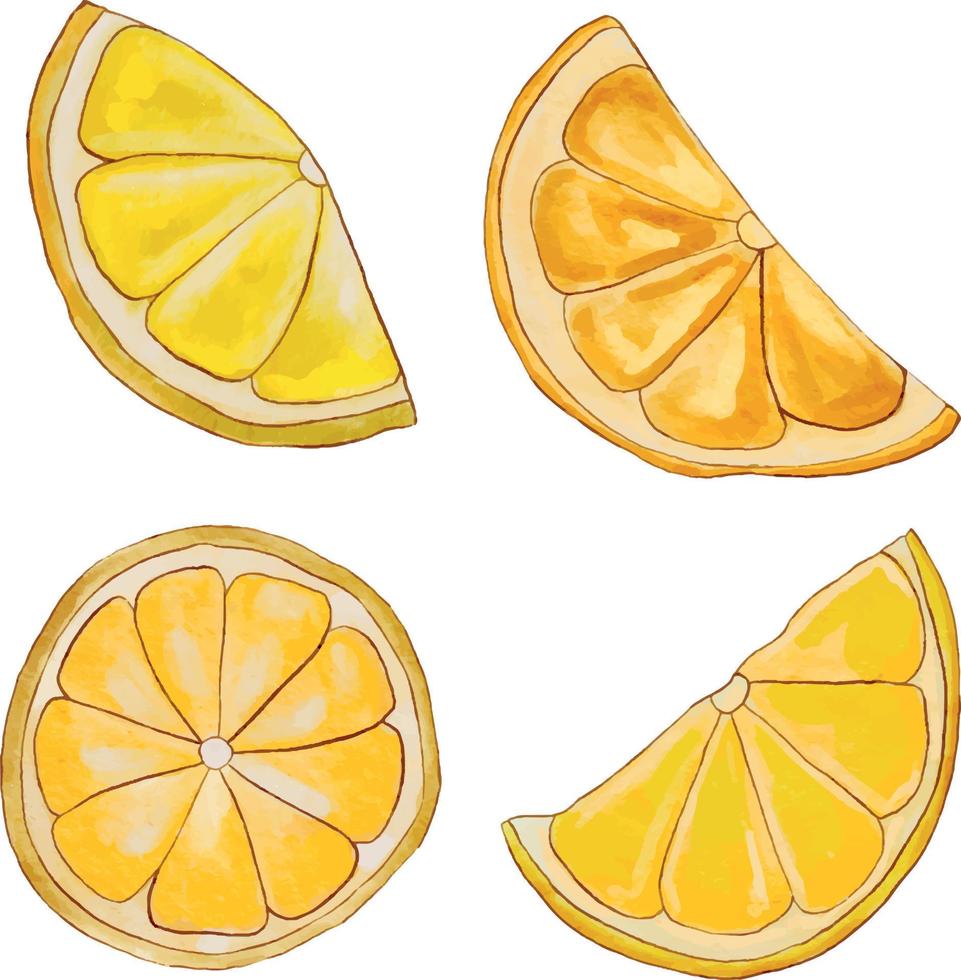 rebanadas de limón. acuarela limones limón acuarela mano dibujar ilustración. vector