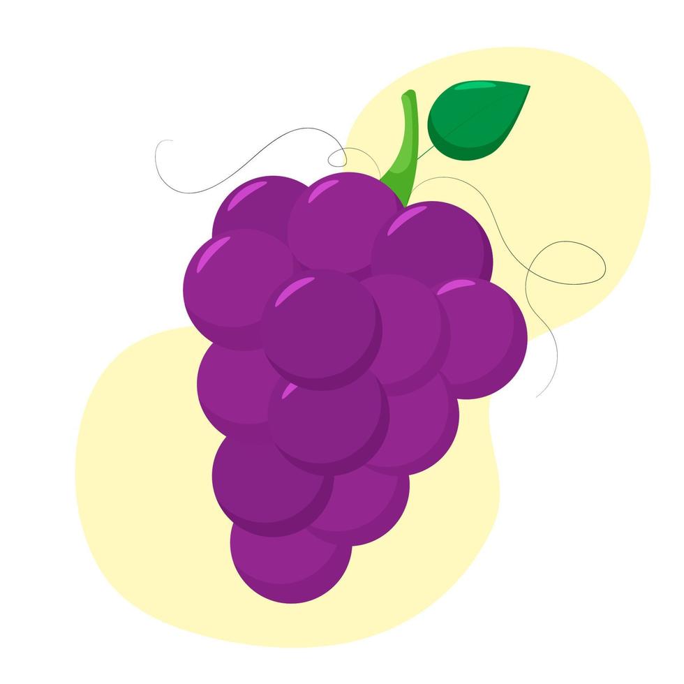 Purple grapes isolated on white background with light yellow circles. Bunch of purple grapes with stem and leaf. Cartoon style. vector