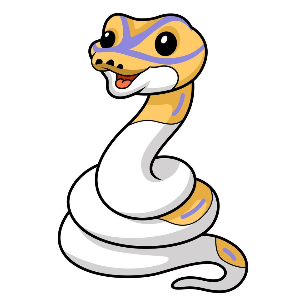 Cute banana pied ball python cartoon vector