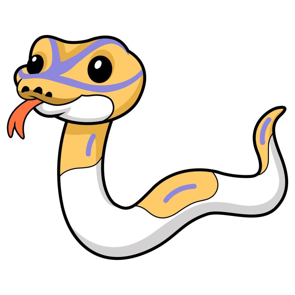 Cute banana pied ball python cartoon vector